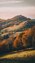 A serene autumn landscape with rolling hills and vibrant foliage.