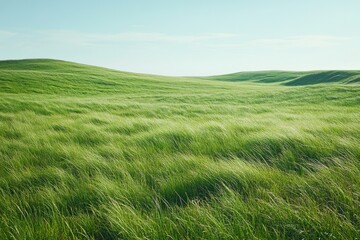 Obraz premium Serene rolling hills covered in vibrant green grass gently swaying in the breeze.