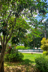 The atmosphere of the garden and green trees during the day