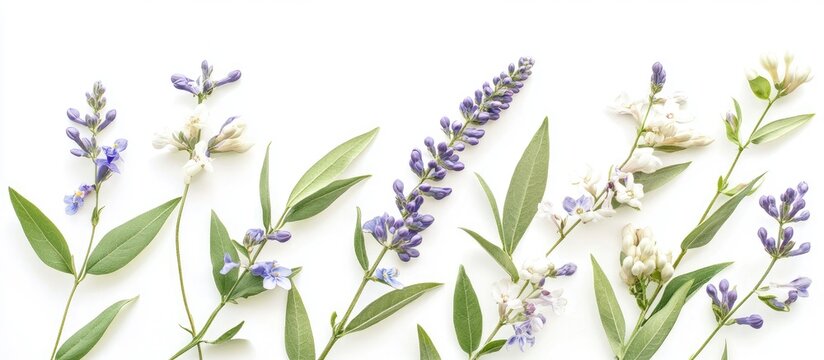 Bouquet of blooming flowers and periwinkle leaves with willow branches on a clean white background for fresh floral design themes - Powered by Adobe