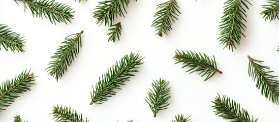 Naklejka premium Christmas fir branch pattern on white background showcasing nature's elegance in a flat lay overhead view for festive designs and decorations.