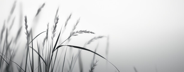Fototapeta premium Grass Swaying Gently in Tranquil Light. Generative AI