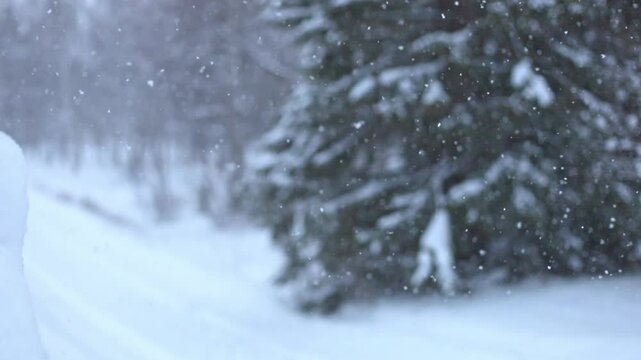 close-up snow covers roads and forest snow covers the house snow is falling snowy weather in the village northern climate life in the north life in a cold climate nature's sleep hibernation