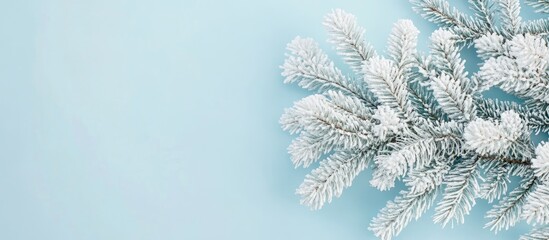 Festive flat lay of snowy white fir tree branches on soft blue background ideal for holiday designs and seasonal promotions