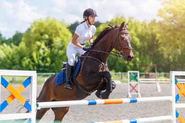 Equestrian show jumping competition with rider and horse in sunny arena