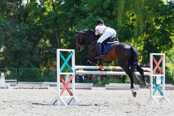 Equestrian show jumping competition with rider and horse in sunny arena