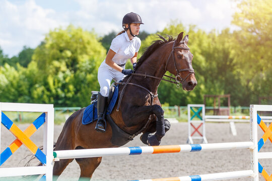 Equestrian show jumping competition with rider and horse in sunny arena