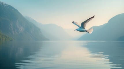 A seagull soars gracefully over a tranquil lake water