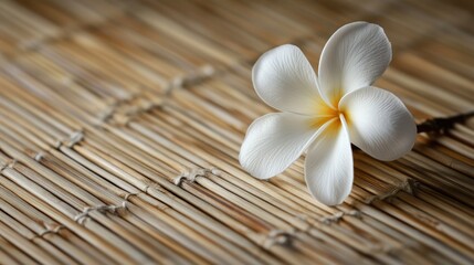 Naklejka premium Delicate cream and white flower resting on a textured bamboo mat showcasing natural elegance and tranquility in a serene setting