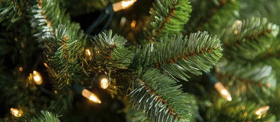 Close up of lush spruce branches adorned with warm glowing lights on a festive Christmas tree background