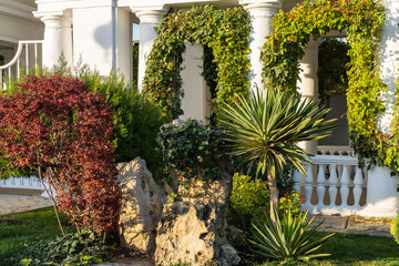 Green foliage of the yucca plant (Yucca gloriosa) or Spanish dagger on waterfront of resort town. Ornamental plant for landscaping streets and parks of Anapa. Anapa, Russia - October 7, 2023