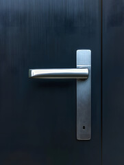 Sleek silver door handle on a dark gray door.
