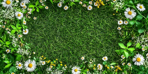 Fotobehang Spring background with daisies, grass and flowers. Top view © agrus_aiart