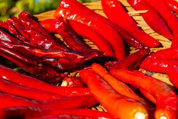 drying chili peppers in the sunshine