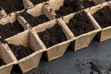 cardboard cups for seedlings with fertile soil