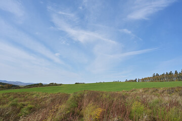 秋の北海道美瑛町の風景	