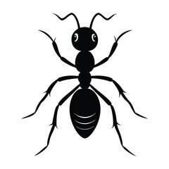 Ant silhouette icon isolated on white background