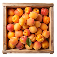 Apricot on wooden crate isolated on transparent background