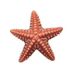 vibrant starfish with intricate patterns on textured surface.