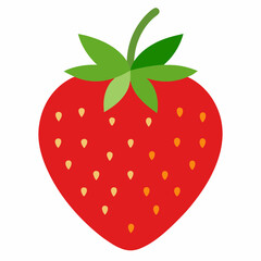 Fresh Strawberry Fruit vector in white background