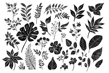 Set of  hand drawn floral elements and silhouettes of tropical leaves, isolated on white background