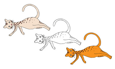 A domestic cat lying on its side and looking up. Doodle element