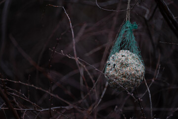 A bird feeder ball wrapped in green netting hanging from tree branches, surrounded by a tangle of bare twig