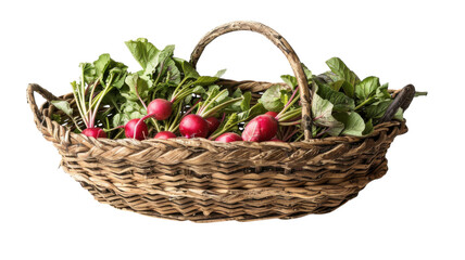 Freshly harvested radishes in a rustic basket ready for market at a sunlit farm