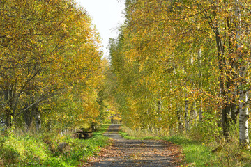 舗装されていない晩秋の田舎の一本道