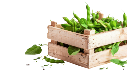 Freshly harvested green peas in a rustic wooden crate surrounded by vibrant leaves and greenery