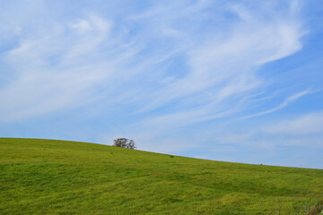 秋の北海道美瑛町の風景