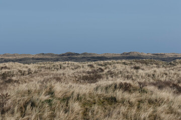Image shows a vast expanse of windswept, light beige sand dunes.  A line of higher dunes is visible in the distance against a pale blue sky.