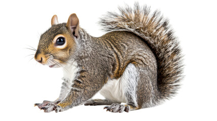 Squirrel exploring a vibrant backdrop with lush details and curious expressions in a lively setting