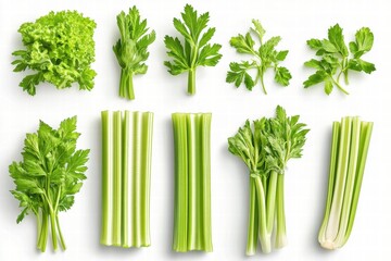 Fresh Celery and Parsley Collection