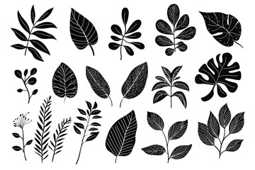 Fototapeta premium Set of black hand drawn floral elements and silhouettes of tropical leaves, isolated on white background