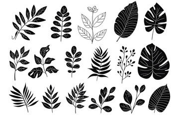Set of black hand drawn floral elements and silhouettes of tropical leaves, isolated on white background