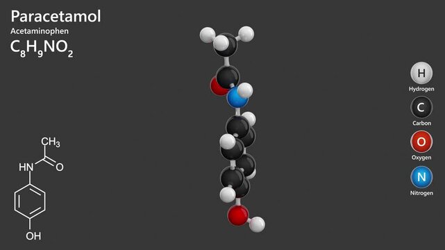 Paracetamol (acetaminophen). Animated 3D model of medication molecule. Analgesic. Antipyretic. Molecular formula: C8H9NO2. Chemical model: Ball and Stick. Gray background. 3D render. Seamless loop