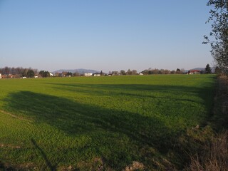 Fototapeta premium Shadow on grassy range in Bielsko-Biala city in Poland