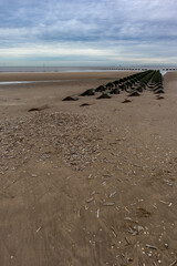 Concrete shaped breakwater architecture on sandy beach with large amount of sea shells brought in by tide in foreground