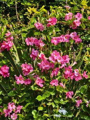 Parco Grotta Cascata Varone