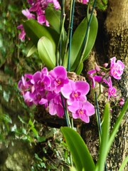 Parco Grotta Cascata Varone