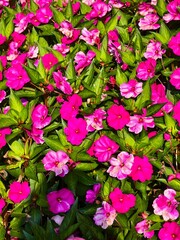 Parco Grotta Cascata Varone