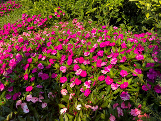 Parco Grotta Cascata Varone