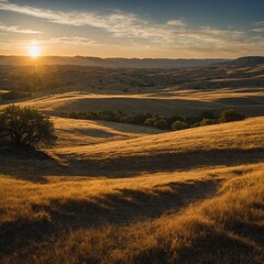 Fototapeta premium sunset over the field