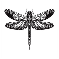 Beautiful Dragonfly Insect Design Vector
