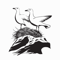 Seagull couple image vector. Seagull couple in their nest on a cliff along the coastline white background. 