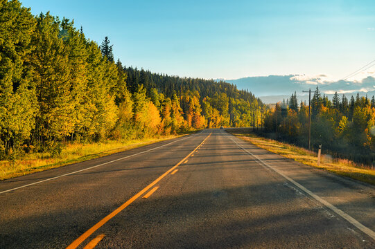 Scenic road trip in autumn forest and asphalt road
