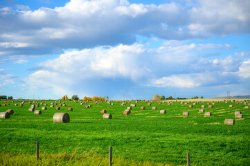 Scenic road trip with lush meadow and haystack on agricultural field in countryside