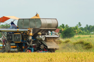Combine harvester with worker harvesting in rice field during harvest season in countryside