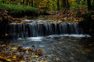 Fototapeta premium Serene autumnal stream cascading over small rocks, surrounded by fallen leaves and lush forest.